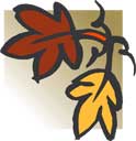 [fall leaves]
